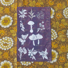 Load image into Gallery viewer, A warm purple tea towel sits on a white, yellow and brown floral patterned background. The tea towel features the words ‘POISONOUS PLANTS’ in pastel yellow writing down the right side. The rest of the tea towel is covered in botanical illustrations of different poisonous plants.
