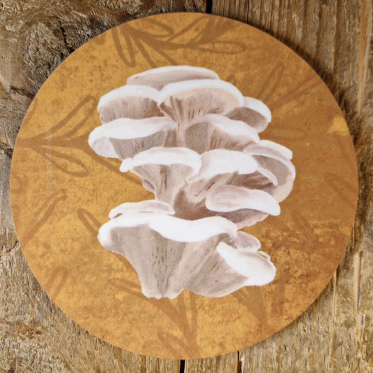 Oyster Mushroom Fungi Coaster