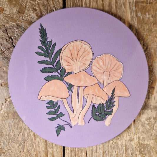 Gymnopilus Penetrans Fungi Coaster