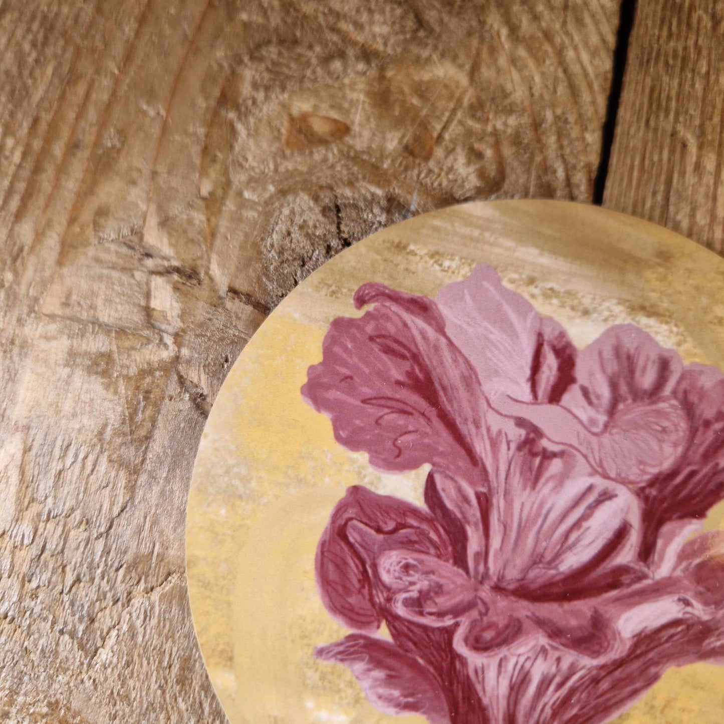 Pink Oyster Mushroom Fungi Coaster