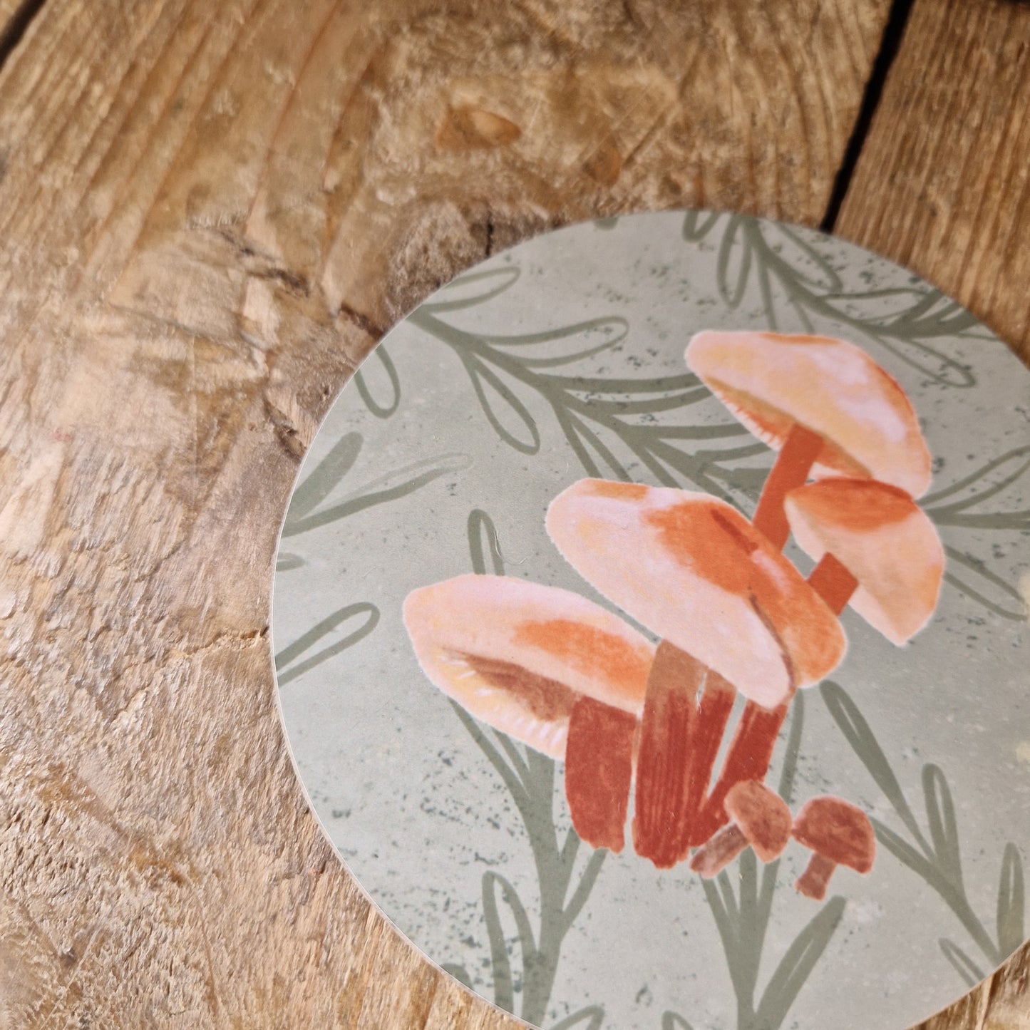 Velvet Shank Fungi Coaster