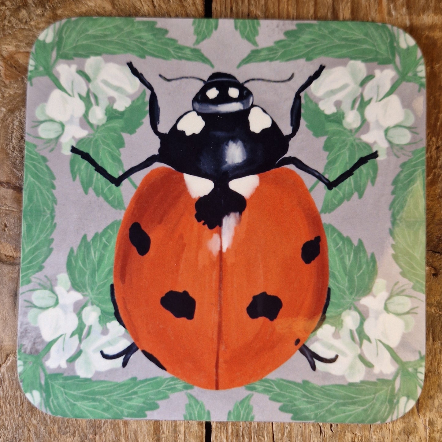 Insect Coaster Set