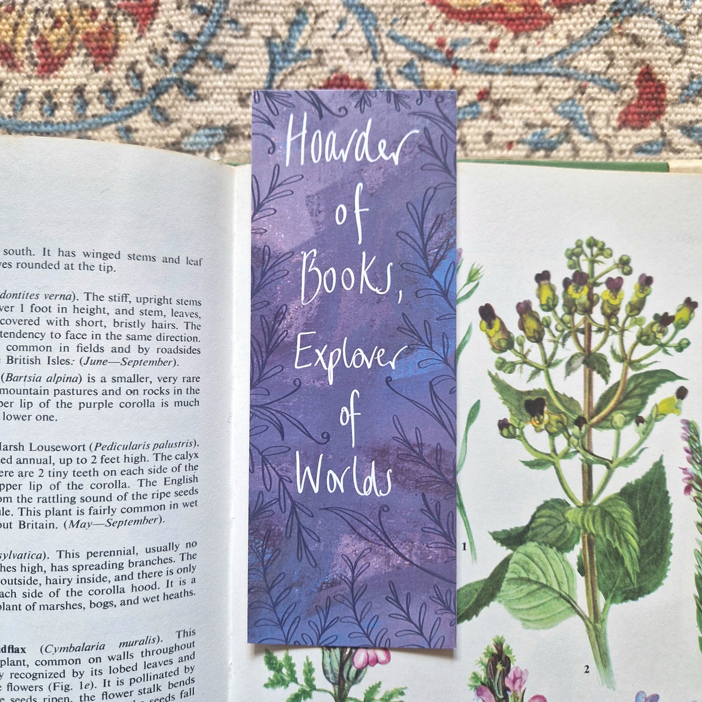 Hoarder of Books, Explorer of Worlds Bookmark