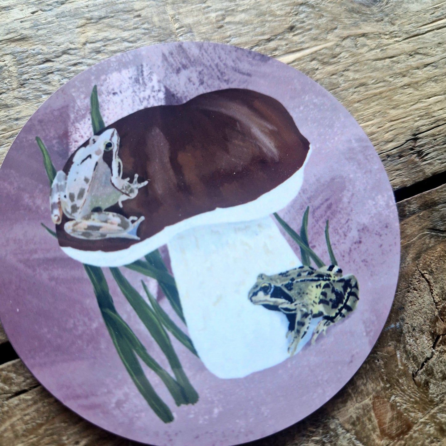 Frogs and Penny Bun Fungi Coaster