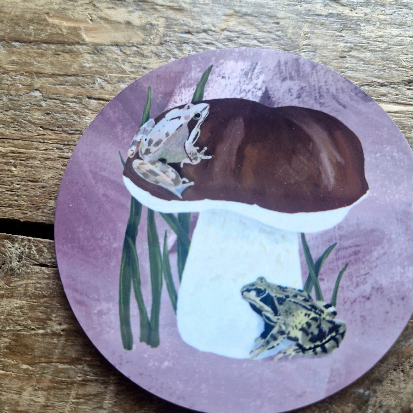 Frogs and Penny Bun Fungi Coaster