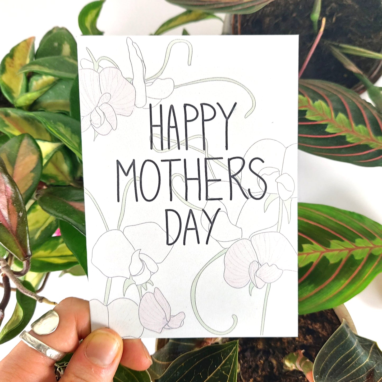 A white card featuring the words HAPPY MOTHERS DAY in black handwriting, with sweet peas behind it in green, pale pink and cream. The card is being held bottom left by a hand with a silver ring on it. Behind the card is an array of houseplants - a hoya carnosa tricolour, a maranta leucona and a ludisia discolor. 